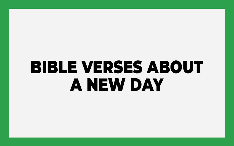 Bible Verses About A New Day