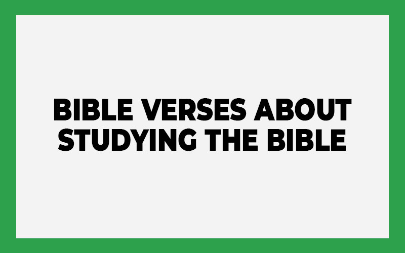 Bible Verses About Studying The Bible