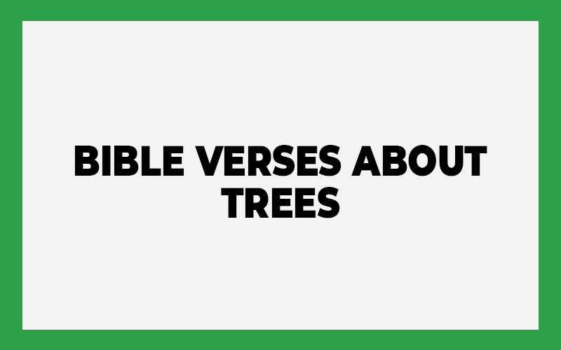 Bible Verses About Trees