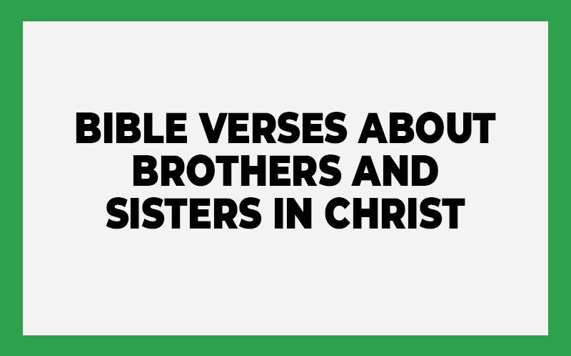 Bible Verses about Brothers and Sisters in Christ