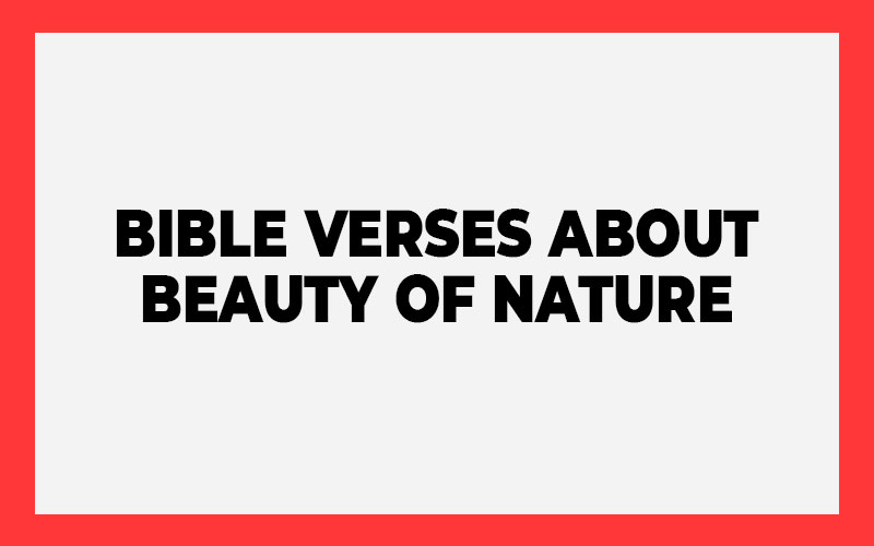 Bible Verses About Beauty Of Nature