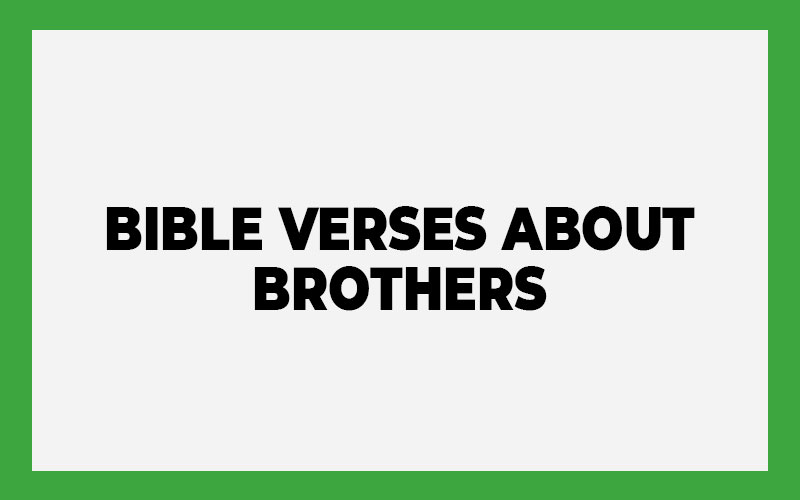 Bible Verses About Brothers