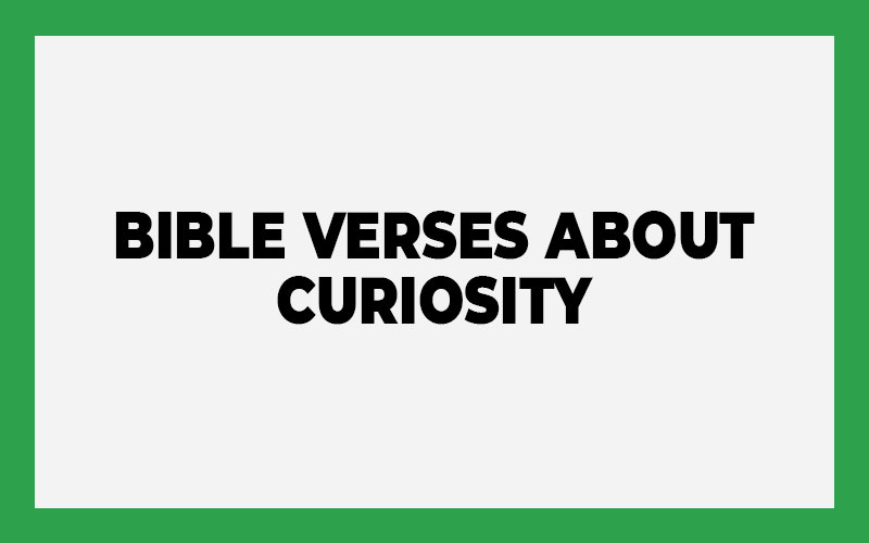 Bible Verses About Curiosity