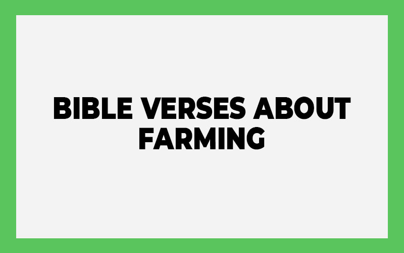 20 Important Bible Verses About Farming (With Commentary) - Bible ...