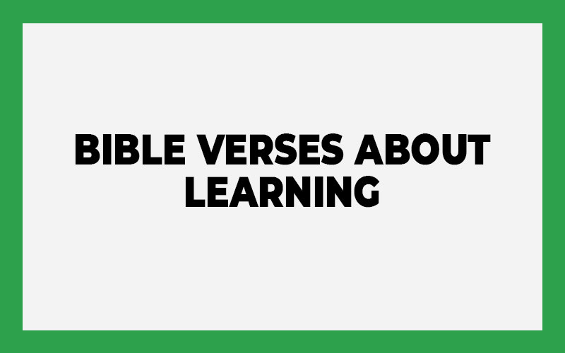 Bible Verses About Learning