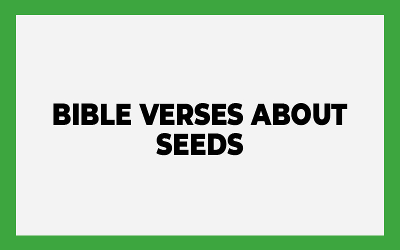 Bible Verses About Seeds