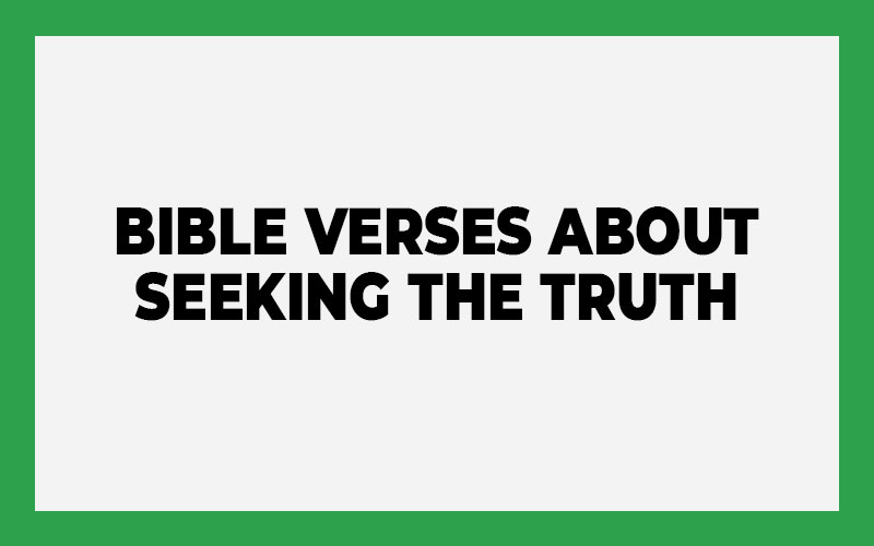 Bible Verses About Seeking the Truth