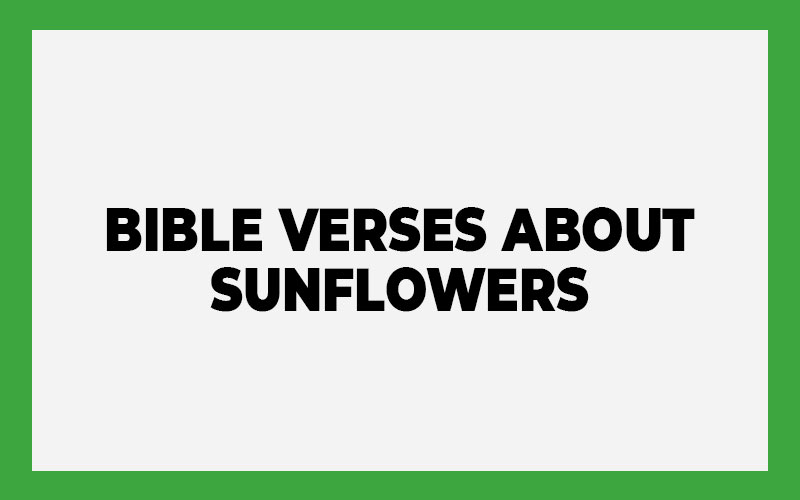 Bible Verses About Sunflowers