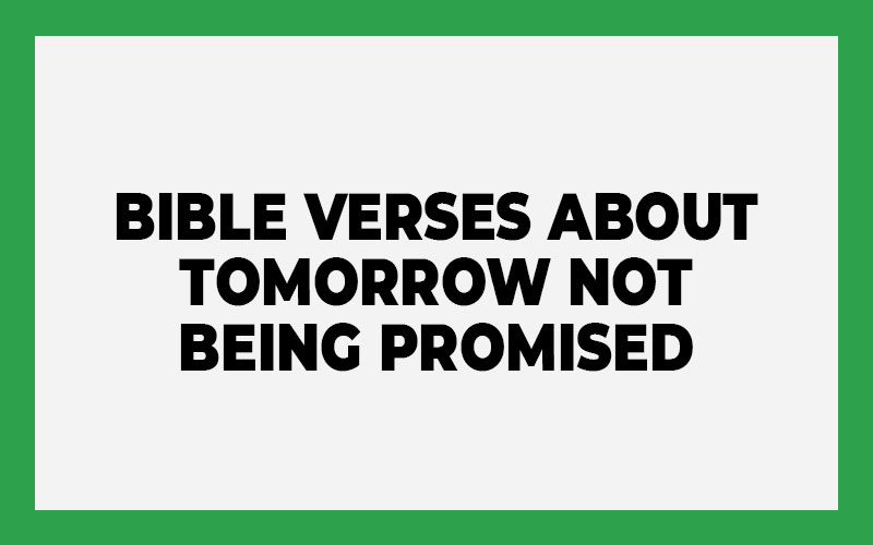 Bible Verses About Tomorrow Not Being Promised