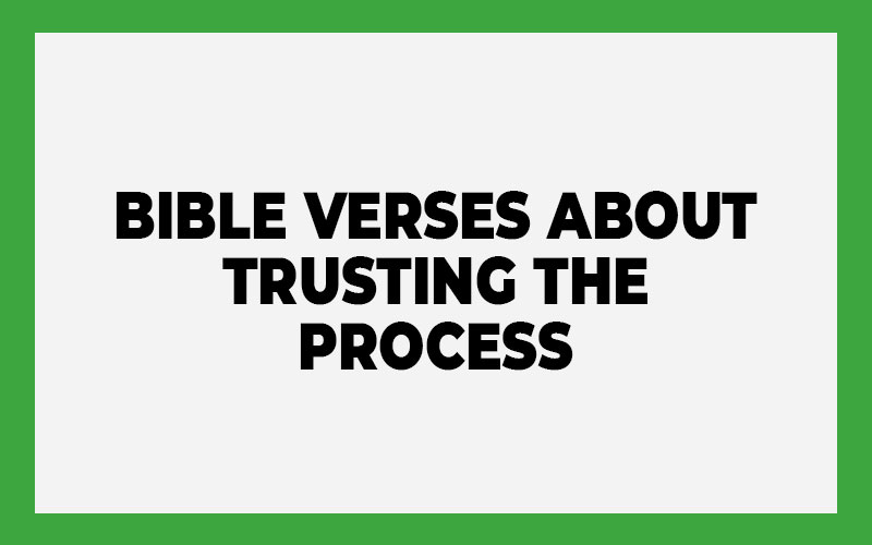 Bible Verses About Trusting the Process