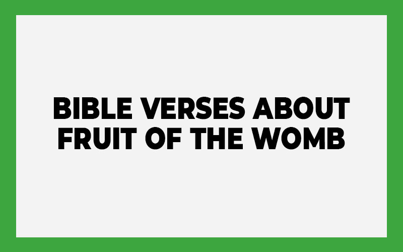 Bible Verses about Fruit of the Womb