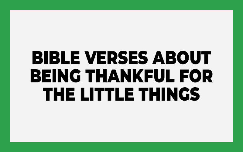 Bible Verses About Being Thankful for the Little Things