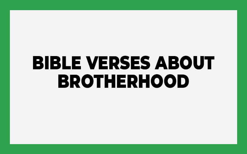 Bible Verses About Brotherhood