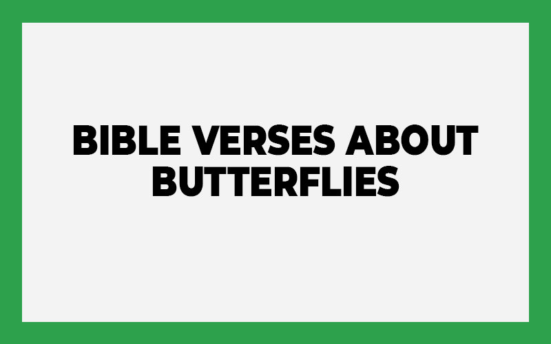 Bible Verses About Butterflies