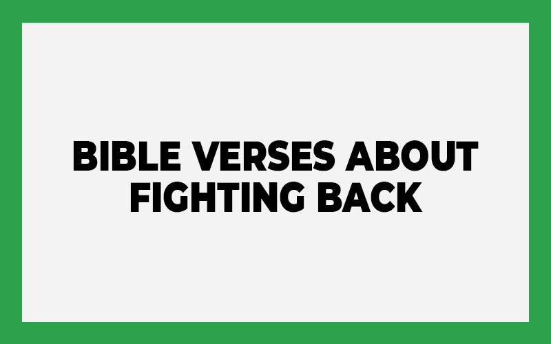 Bible Verses About Fighting Back