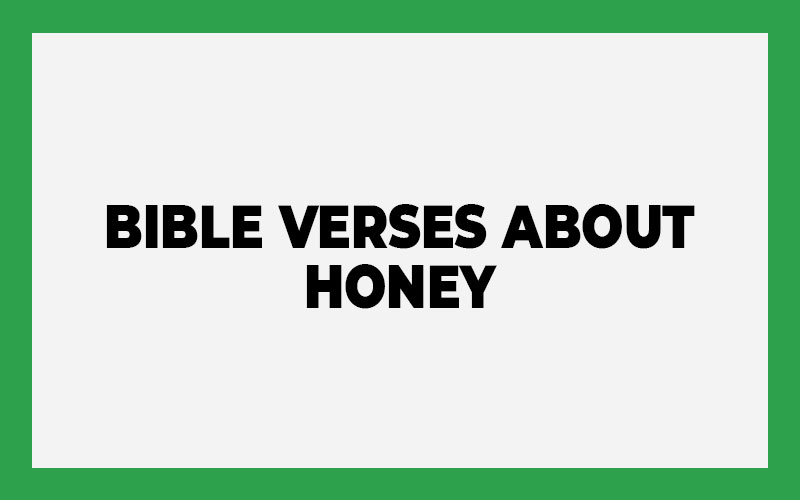 Bible Verses About Honey