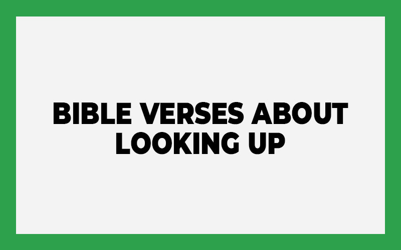 Bible Verses About Looking Up