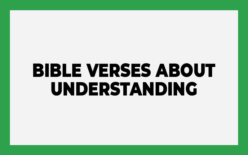 Bible Verses About Understanding