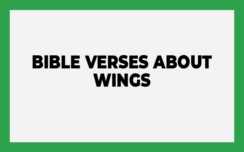 Bible Verses About Wings