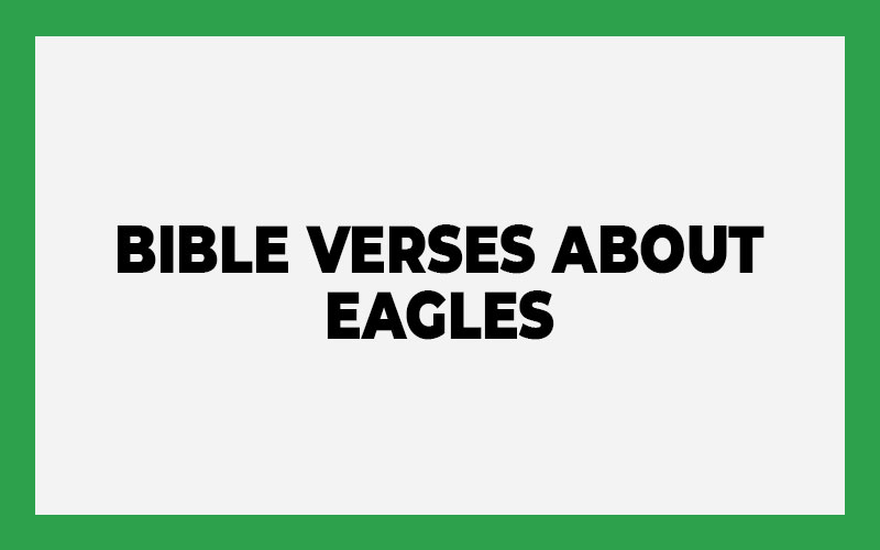 Bible Verses about Eagles