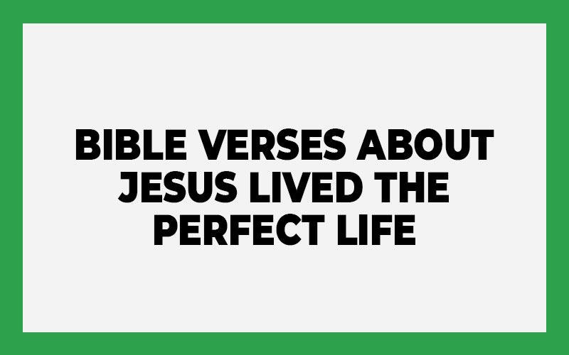 Bible Verses about Jesus Lived the Perfect Life