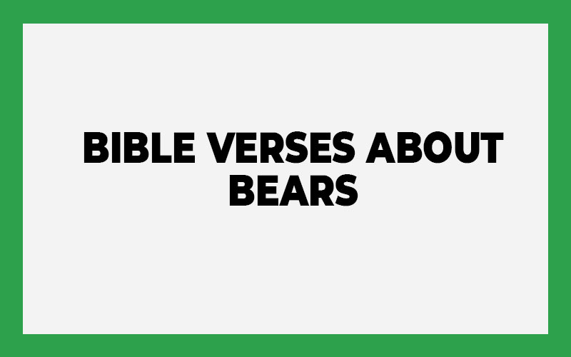 Bible Verses About Bears