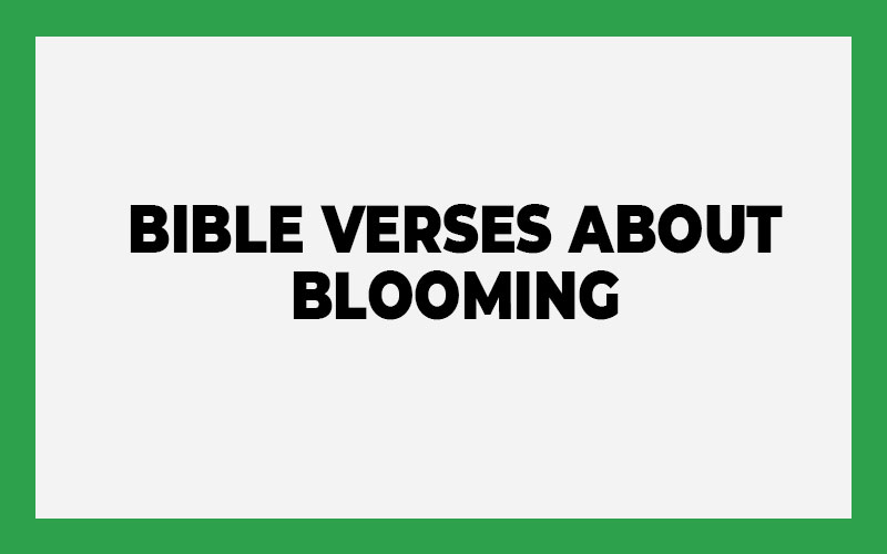 Bible Verses About Blooming