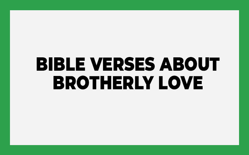 Bible Verses About Brotherly Love