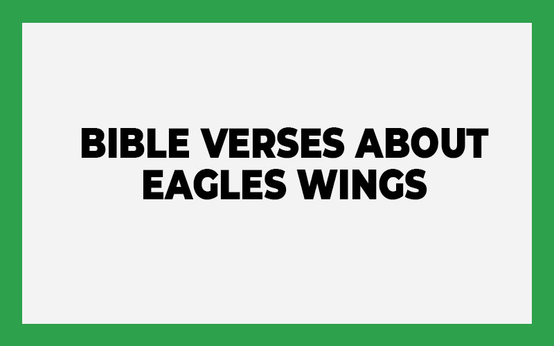 Bible Verses About Eagles Wings