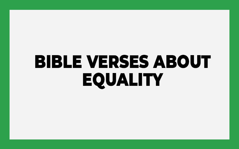 Bible Verses About Equality