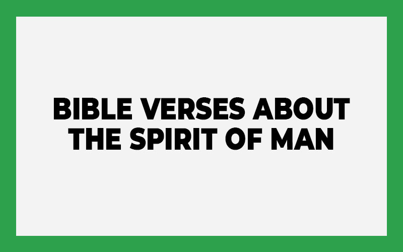 Bible Verses about The Spirit of Man