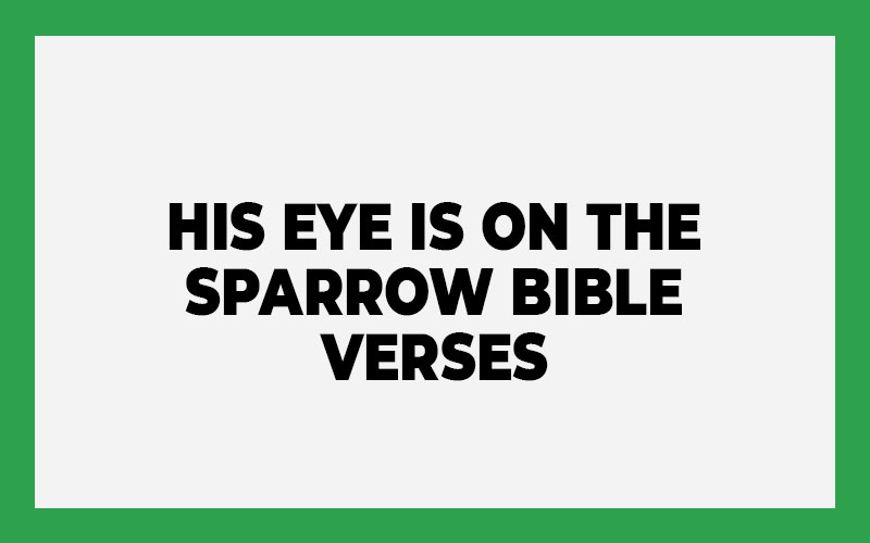 His Eye Is on the Sparrow Bible Verses